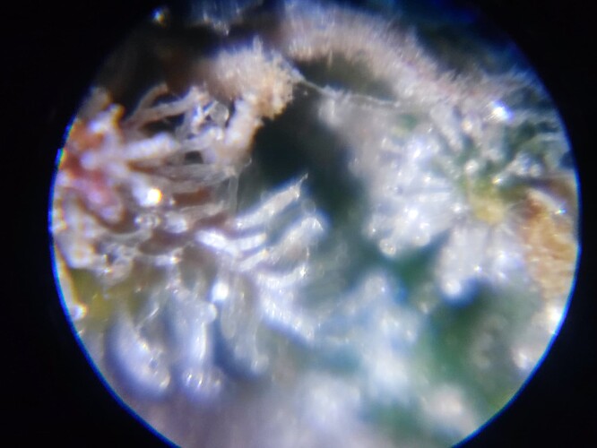 Growreport Bild 48