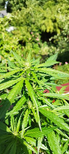 Growreport Bild 8
