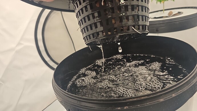 Growreport Bild 19