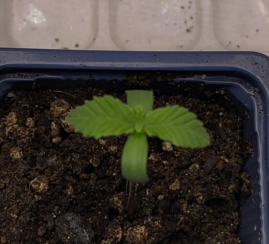 Growreport Bild 10