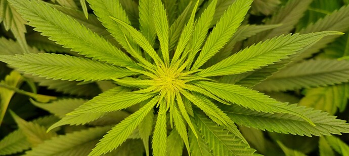Growreport Bild 17