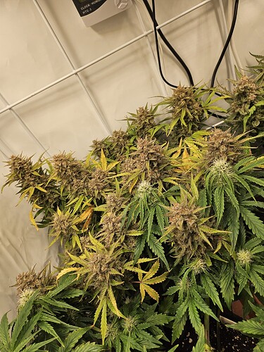 WhatsApp Bild 2024-04-26 um 11.08.58_0f2bf86d