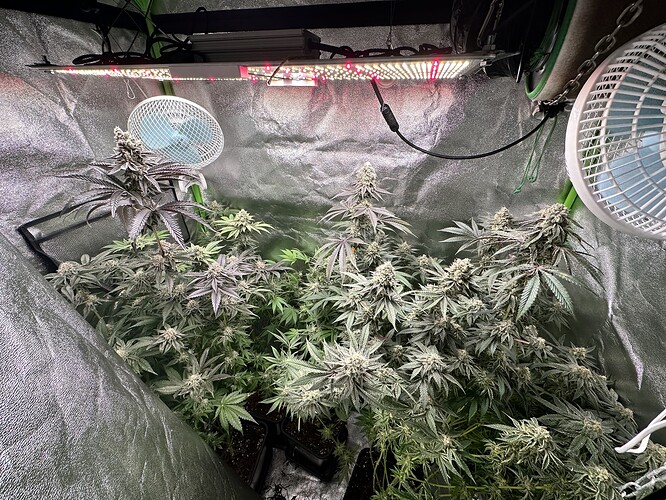 Growreport Bild 5