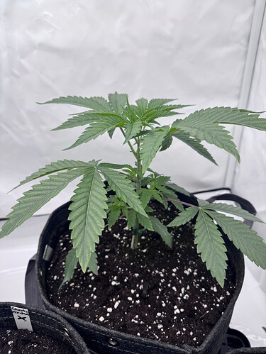 Growreport Bild 8