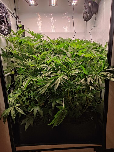 Growreport Bild 11