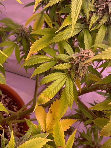 Growreport Bild 9