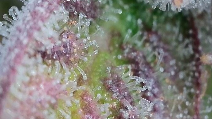 Growreport Bild 23