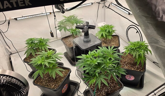 Growreport Bild 19