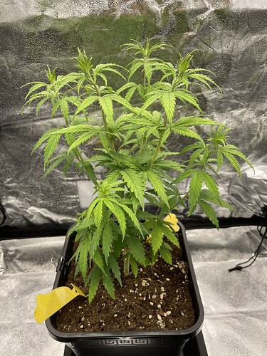 Growreport Bild 4