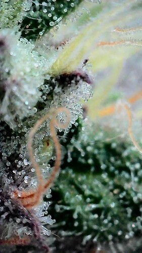 Growreport Bild 12