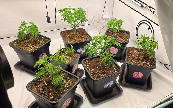 Growreport Bild 13