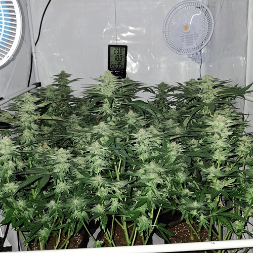 475957941_122166343910293599_185534704340536736_n