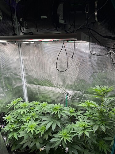 Growreport Bild 5