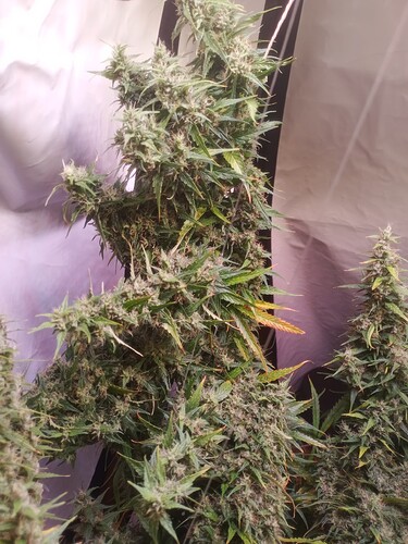 Growreport Bild 22