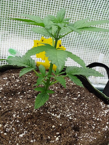 Growreport Bild 20
