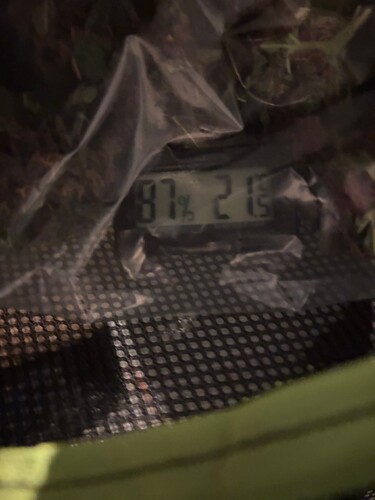 Growreport Bild 72