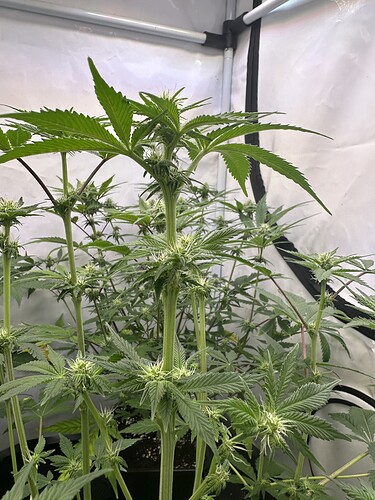 Growreport Bild 10