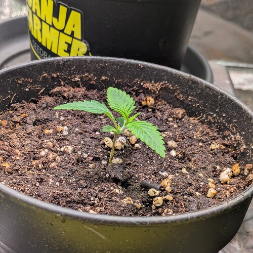 Growreport Bild 14