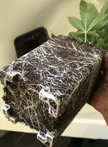 SmartSelect_20240323_094148_Samsung Internet