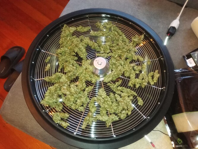 Growreport Bild 22