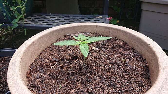 Growreport Bild 88