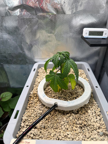 Growreport Bild 3