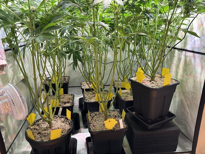 Growreport Bild 56