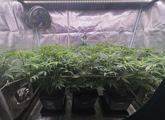 Foto 03.01.26, 06 30 53