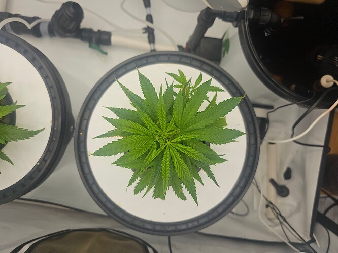 Growreport Bild 13