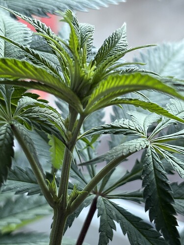 Growreport Bild 4
