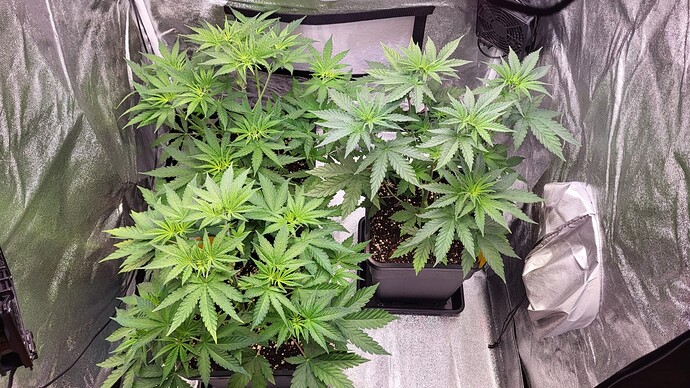Growreport Bild 23