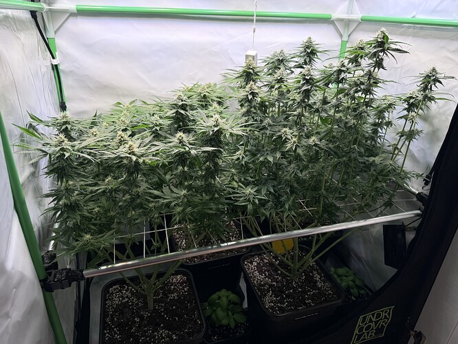 Growreport Bild 22