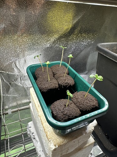 Growreport Bild 30