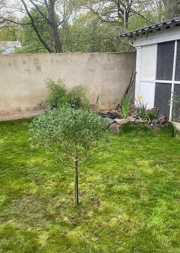 IMG-20240412-WA0022