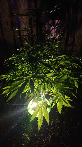 Growreport Bild 17
