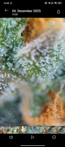 Growreport Bild 6