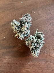 Growreport Bild 9