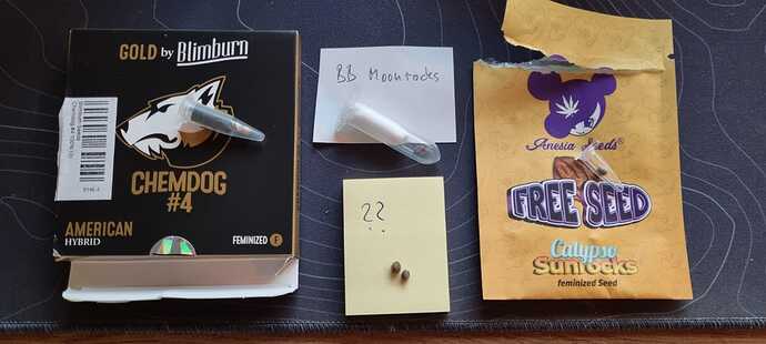 WhatsApp Image 2024-10-26 at 11.49.20