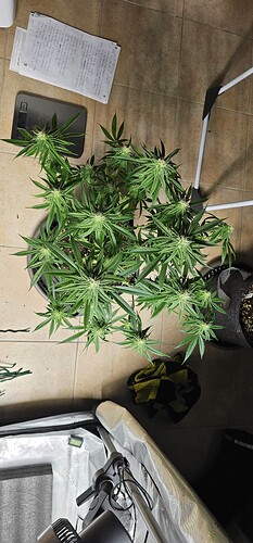 Growreport Bild 8