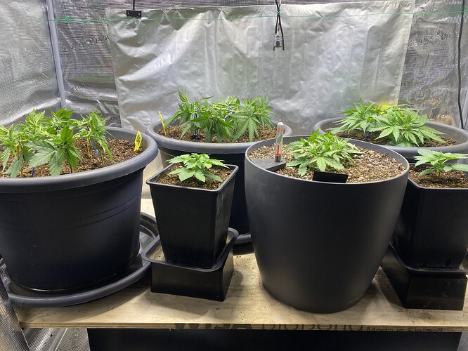 Growreport Bild 20