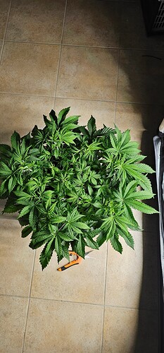 Growreport Bild 11