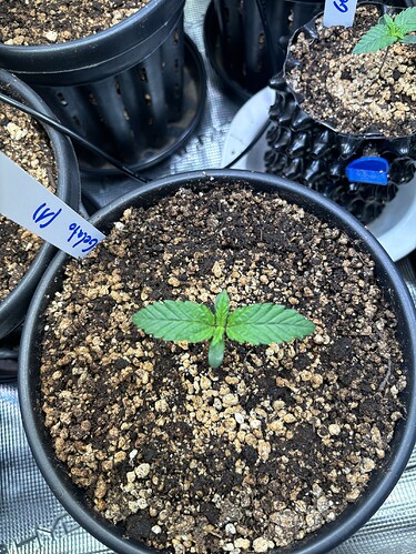 Growreport Bild 24