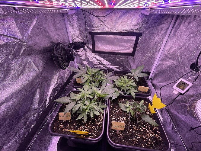 Growreport Bild 12