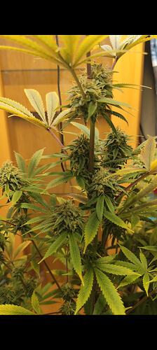 Screenshot_2026-02-24-14-18-53-783_com.miui.gallery