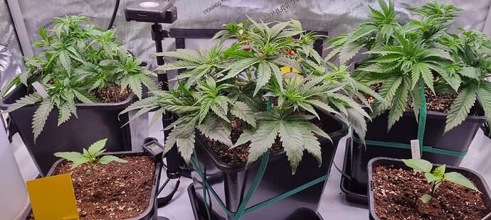 Growreport Bild 18