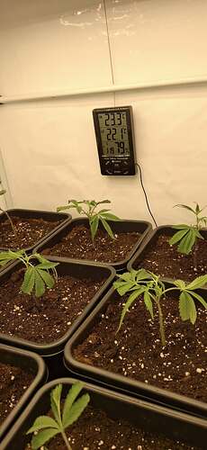 Growreport Bild 1
