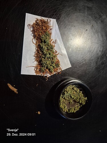 Growreport Bild 20