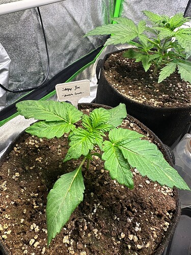 Growreport Bild 10