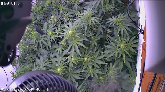 Growreport Bild 15