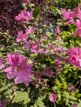 PXL_20250629_155511777